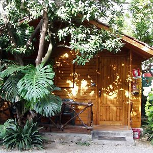 Bungalow
